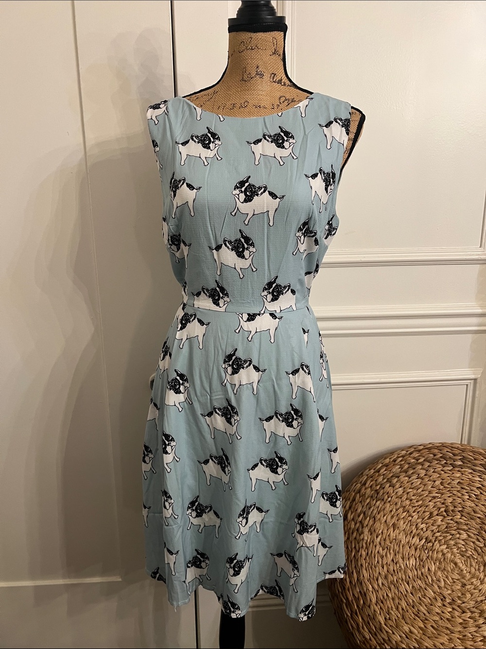 Light Blue Sleeveless French Bulldog Print A-Line Dress